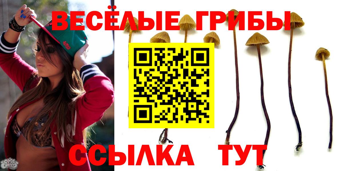 Галлюциногенные грибы прущие грибы  Вход с VPN  Рассказово 