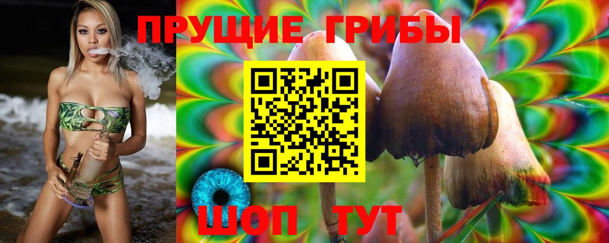Псилоцибиновые грибы Cubensis Рассказово
